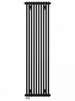  Zehnder Charleston Completto CH 2180/10 V001  RAL 9217 matt ׸